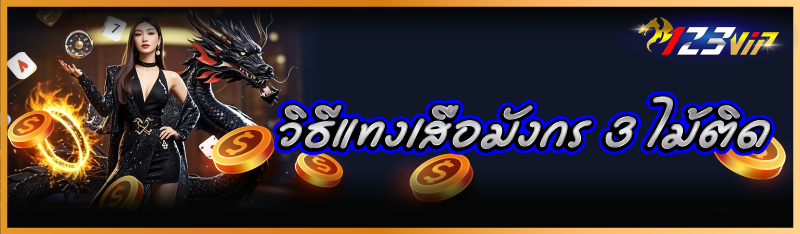 วิธีแทงเสือมังกร 3 ไม้ติด  